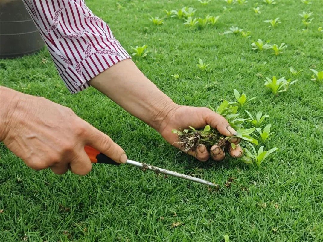 萬豪集團匠心助力，6月齊聚重慶龍興足球場為國足吶喊助威！